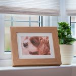 Pet tribute frame